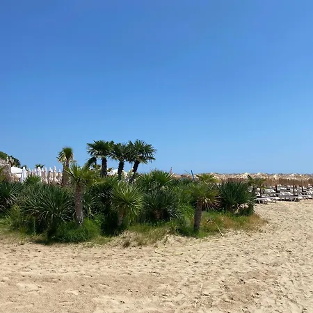 Апартамент Royal Palm 84 Свети Влас